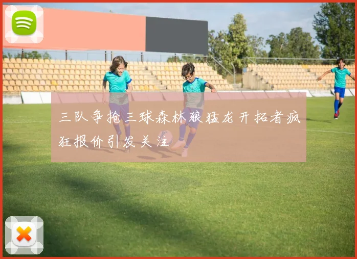 三队争抢三球森林狼猛龙开拓者疯狂报价引发关注