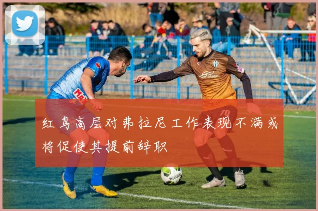 红鸟高层对弗拉尼工作表现不满或将促使其提前辞职